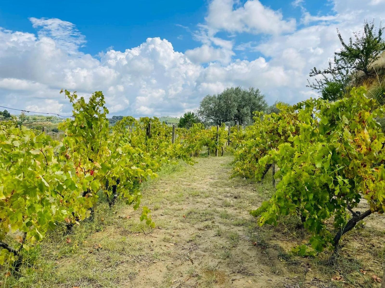Agriresort Villa Bentivoglio Piazza Armerina Dış mekan fotoğraf