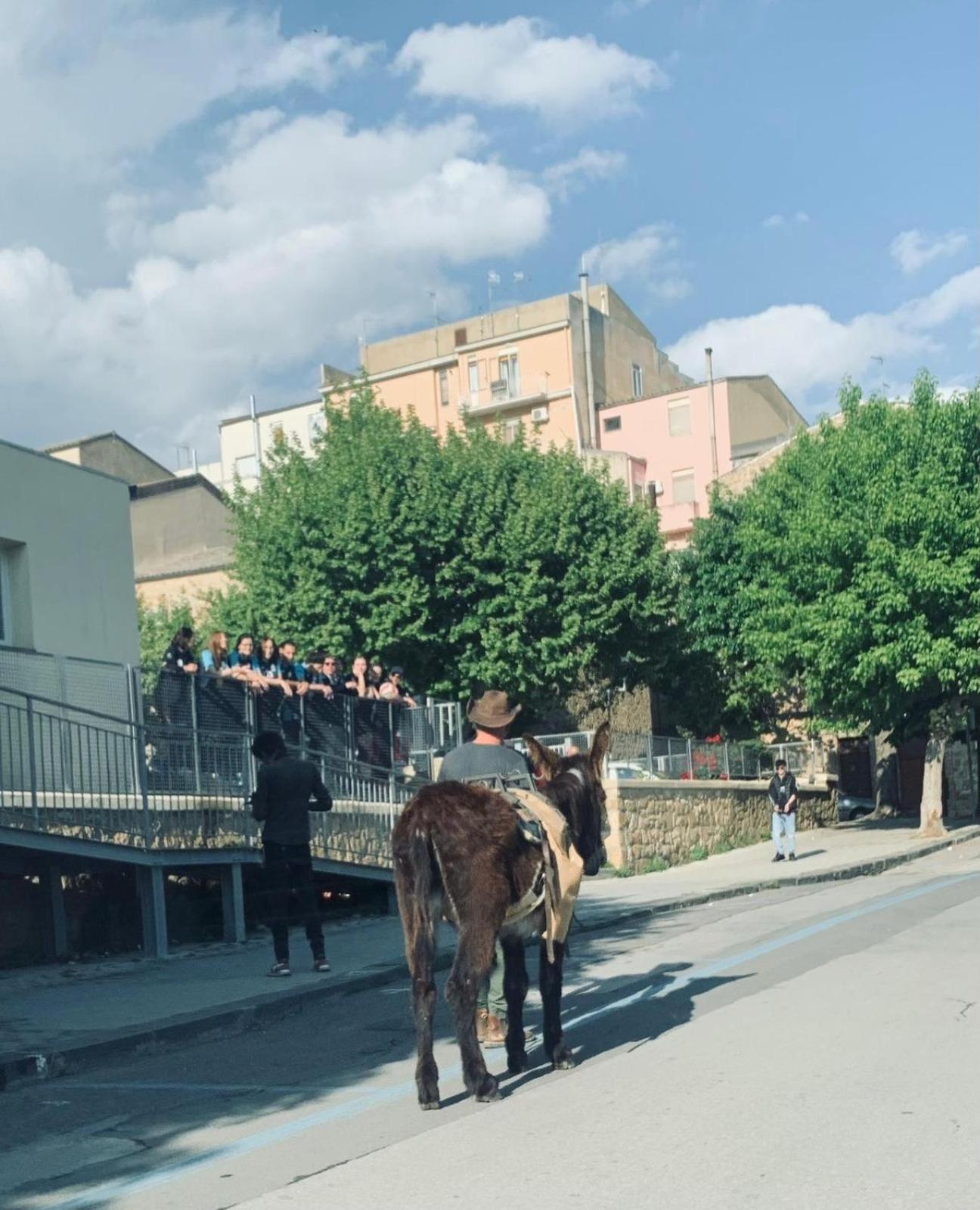 Agriresort Villa Bentivoglio Piazza Armerina Dış mekan fotoğraf